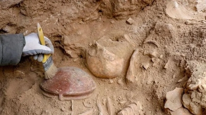 Van'da 3 bin 200 yıllık beyin ameliyatının izleri bulundu